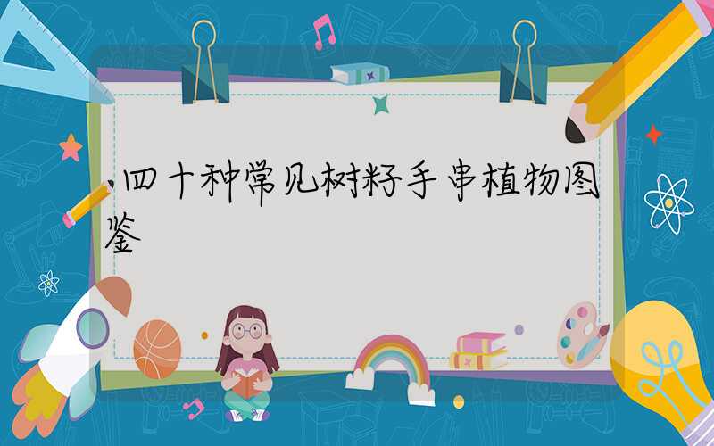 四十种常见树籽手串植物图鉴