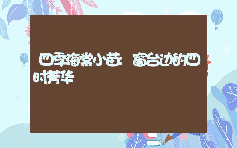四季海棠小苗:窗台边的四时芳华