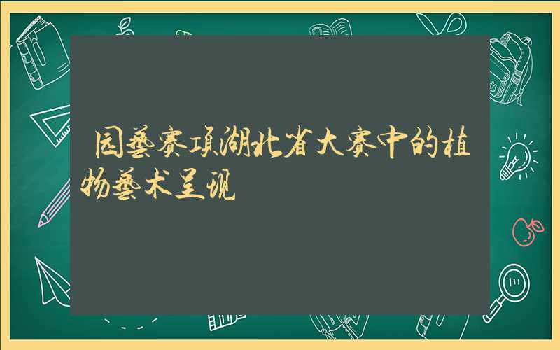 园艺赛项湖北省大赛中的植物艺术呈现