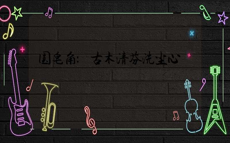 圆皂角：古木清芬洗尘心