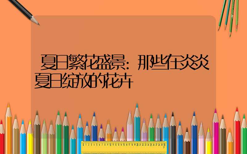 夏日繁花盛景:那些在炎炎夏日绽放的花卉