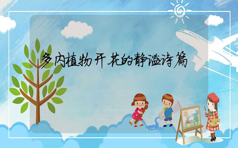 多内植物开花的静谧诗篇