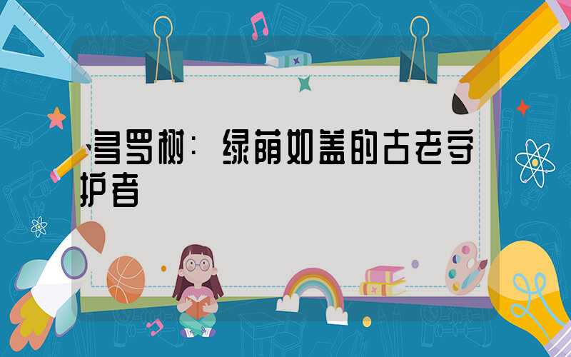 多罗树:绿荫如盖的古老守护者