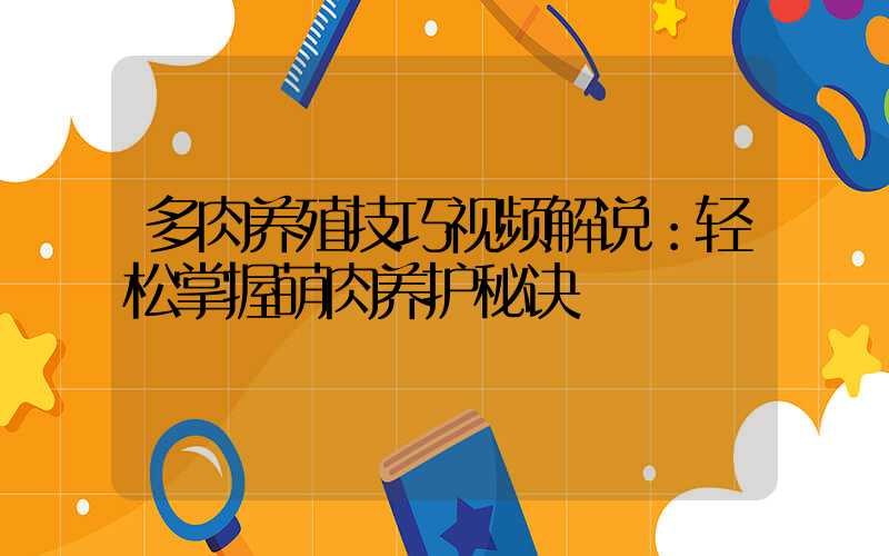 多肉养殖技巧视频解说：轻松掌握萌肉养护秘诀