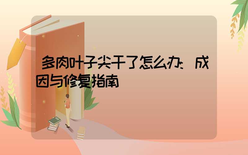 多肉叶子尖干了怎么办:成因与修复指南