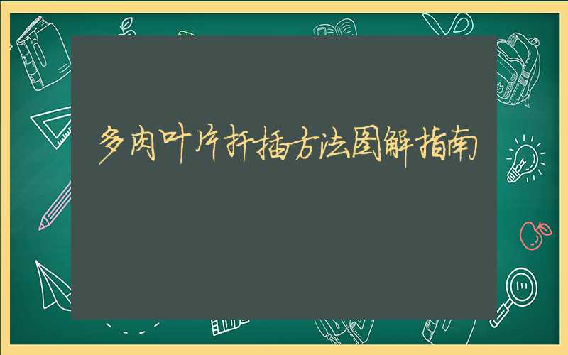 多肉叶片扦插方法图解指南