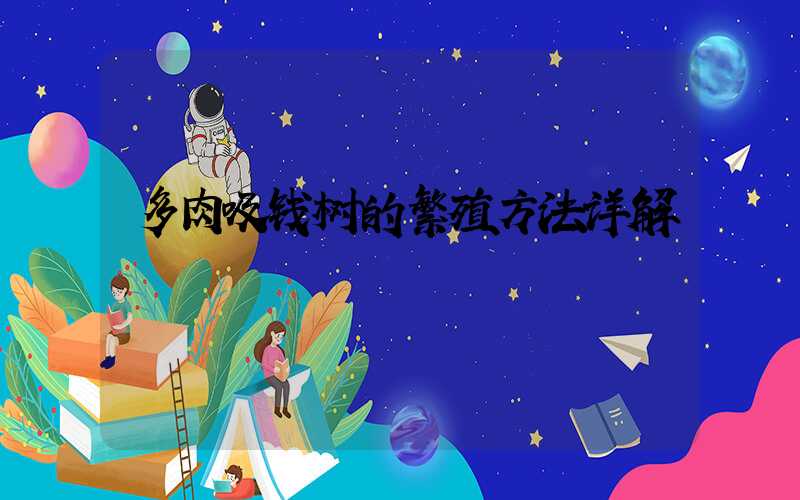 多肉吸钱树的繁殖方法详解