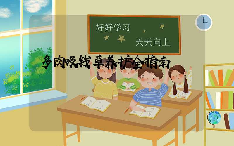 多肉吸钱草养护全指南