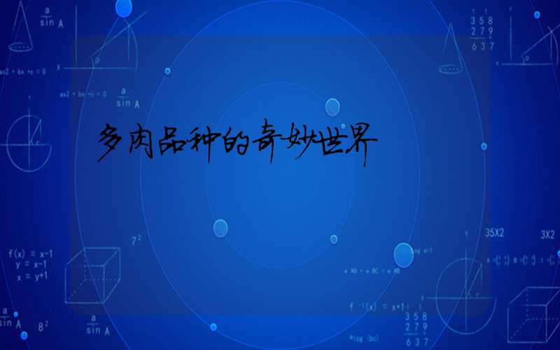 多肉品种的奇妙世界