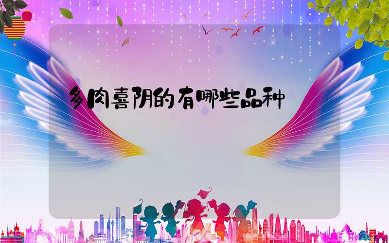 多肉喜阴的有哪些品种