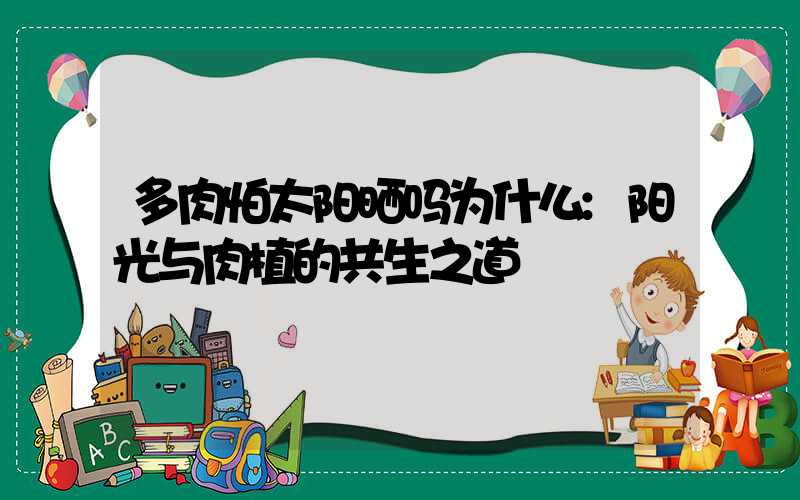 多肉怕太阳晒吗为什么:阳光与肉植的共生之道