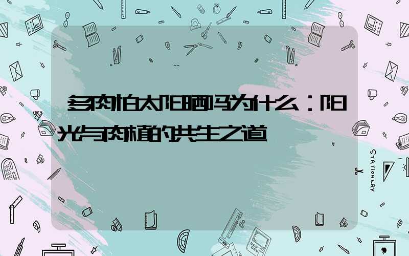 多肉怕太阳晒吗为什么：阳光与肉植的共生之道