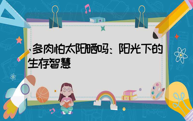 多肉怕太阳晒吗：阳光下的生存智慧