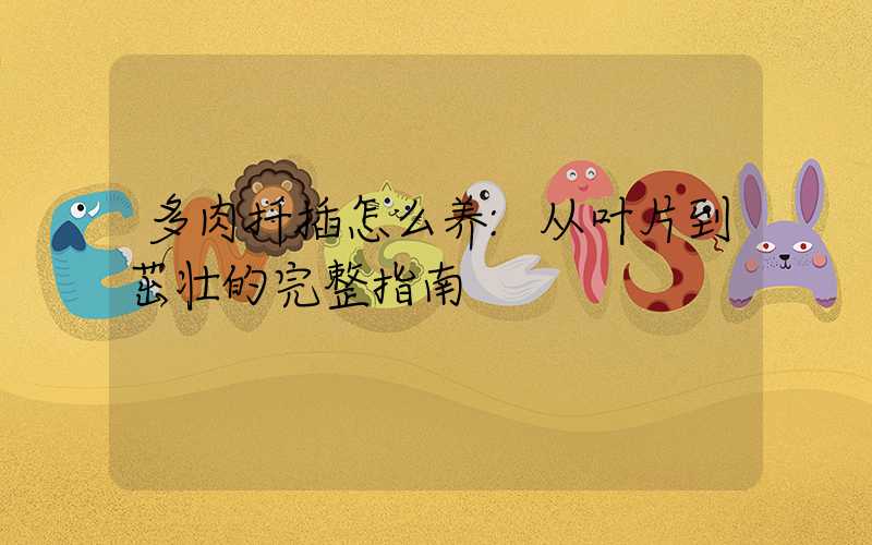 多肉扦插怎么养:从叶片到茁壮的完整指南