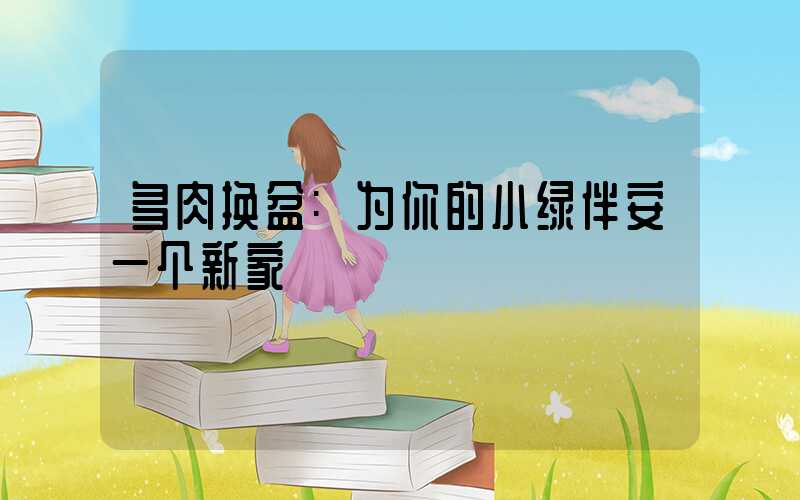 多肉换盆:为你的小绿伴安一个新家