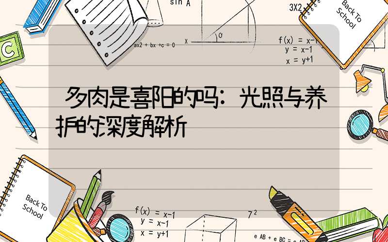 多肉是喜阳的吗:光照与养护的深度解析