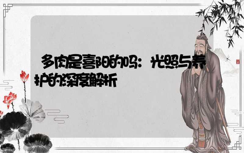 多肉是喜阳的吗：光照与养护的深度解析