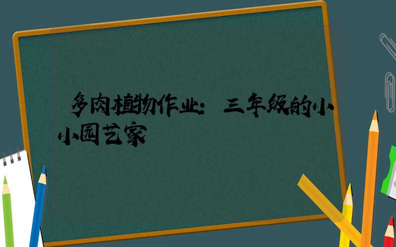 多肉植物作业：三年级的小小园艺家