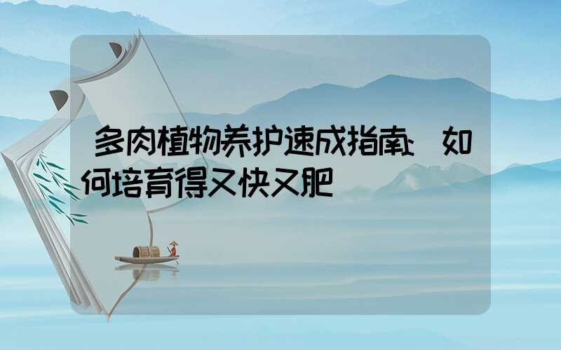 多肉植物养护速成指南:如何培育得又快又肥