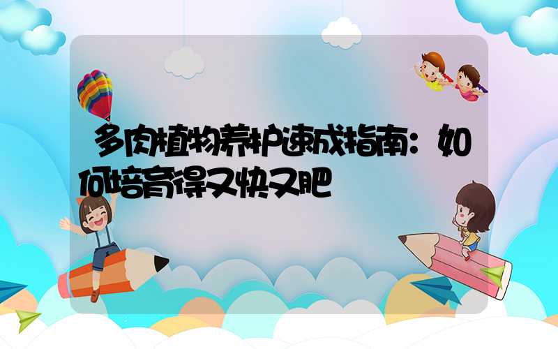 多肉植物养护速成指南：如何培育得又快又肥