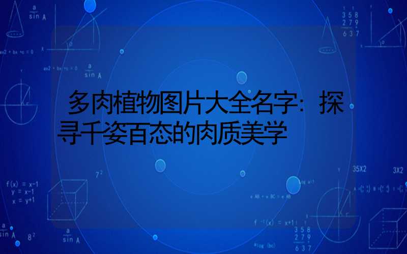 多肉植物图片大全名字:探寻千姿百态的肉质美学