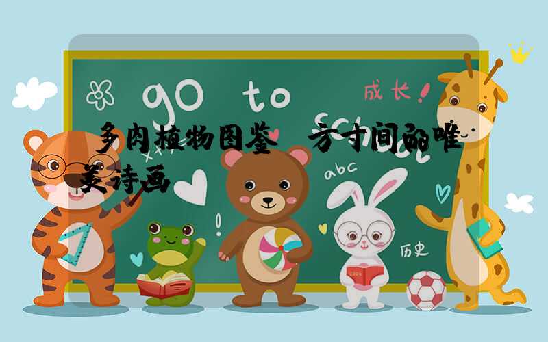 多肉植物图鉴:方寸间的唯美诗画