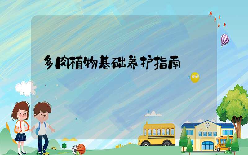 多肉植物基础养护指南