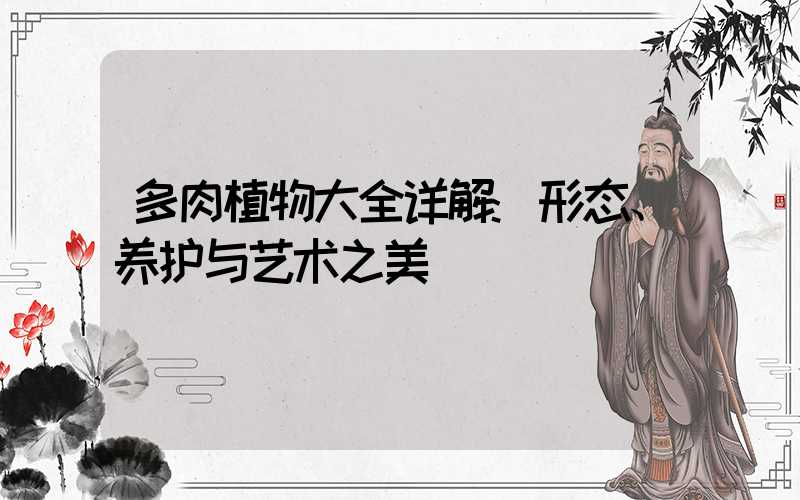 多肉植物大全详解:形态、养护与艺术之美