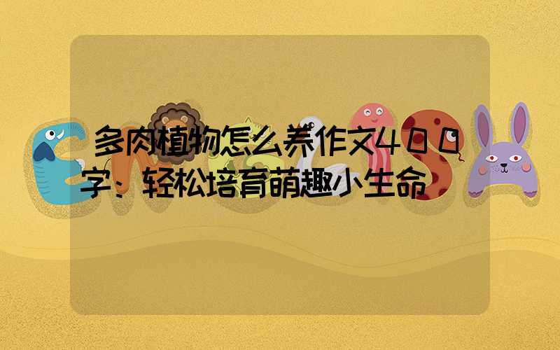 多肉植物怎么养作文400字：轻松培育萌趣小生命