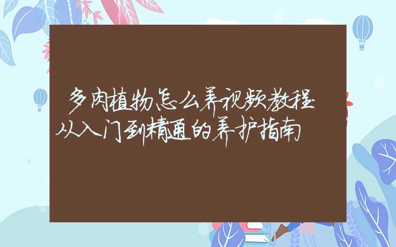 多肉植物怎么养视频教程:从入门到精通的养护指南