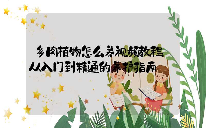 多肉植物怎么养视频教程：从入门到精通的养护指南