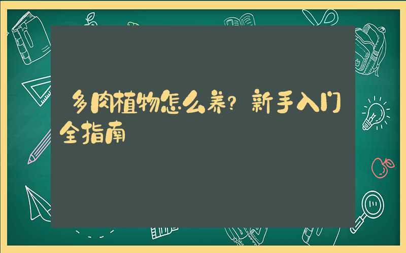 多肉植物怎么养？新手入门全指南