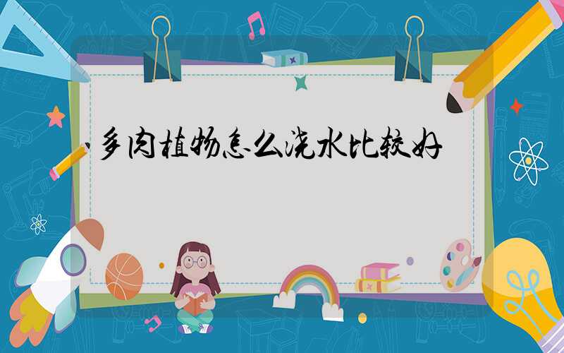 多肉植物怎么浇水比较好