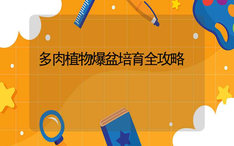 多肉植物爆盆培育全攻略