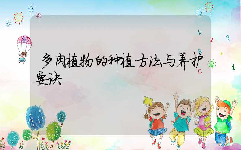 多肉植物的种植方法与养护要诀