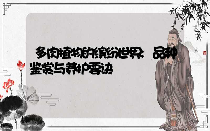 多肉植物的缤纷世界:品种鉴赏与养护要诀