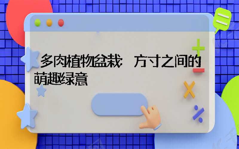 多肉植物盆栽:方寸之间的萌趣绿意