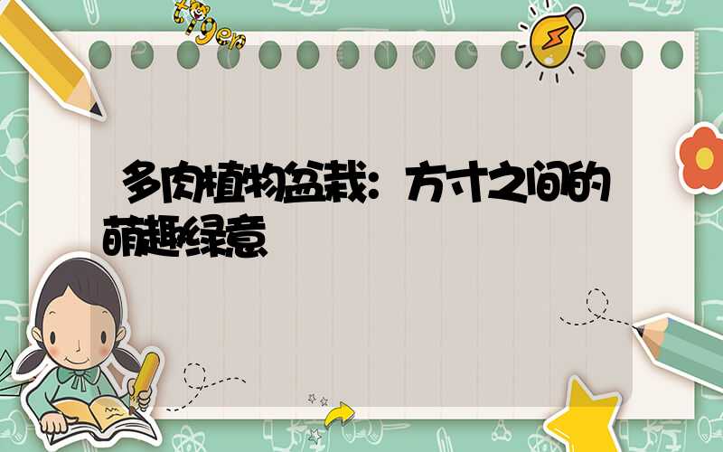多肉植物盆栽：方寸之间的萌趣绿意