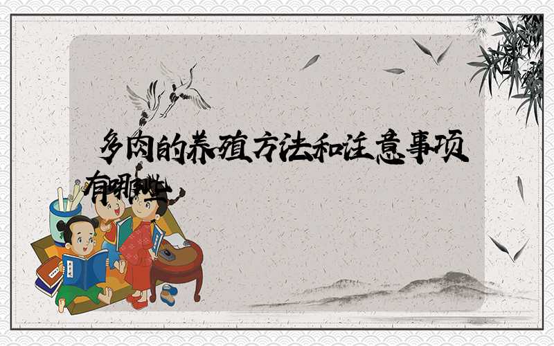 多肉的养殖方法和注意事项有哪些