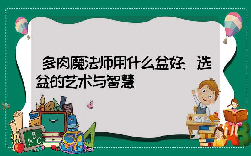 多肉魔法师用什么盆好:选盆的艺术与智慧