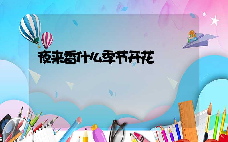 夜来香什么季节开花