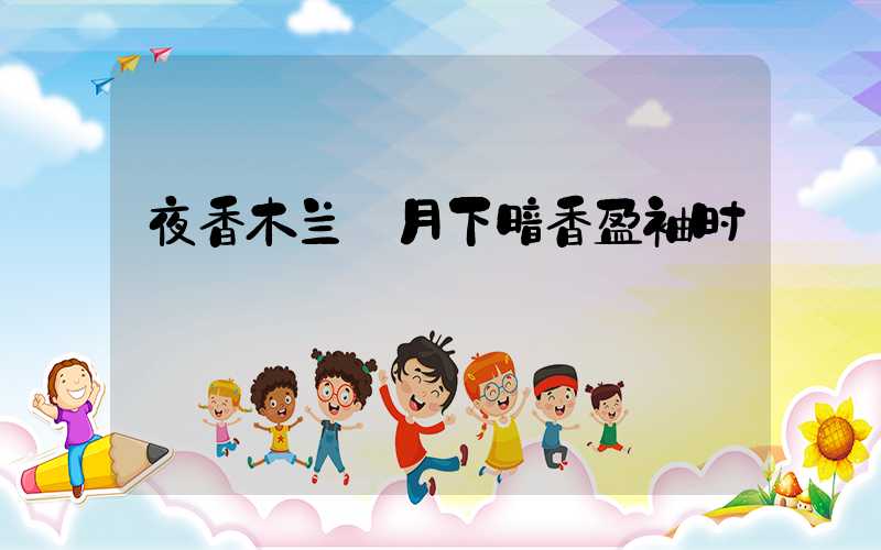 夜香木兰:月下暗香盈袖时