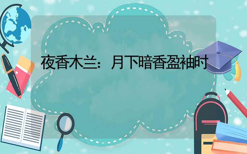 夜香木兰：月下暗香盈袖时