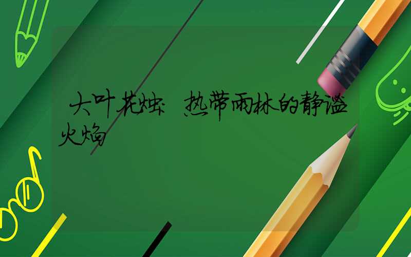 大叶花烛:热带雨林的静谧火焰