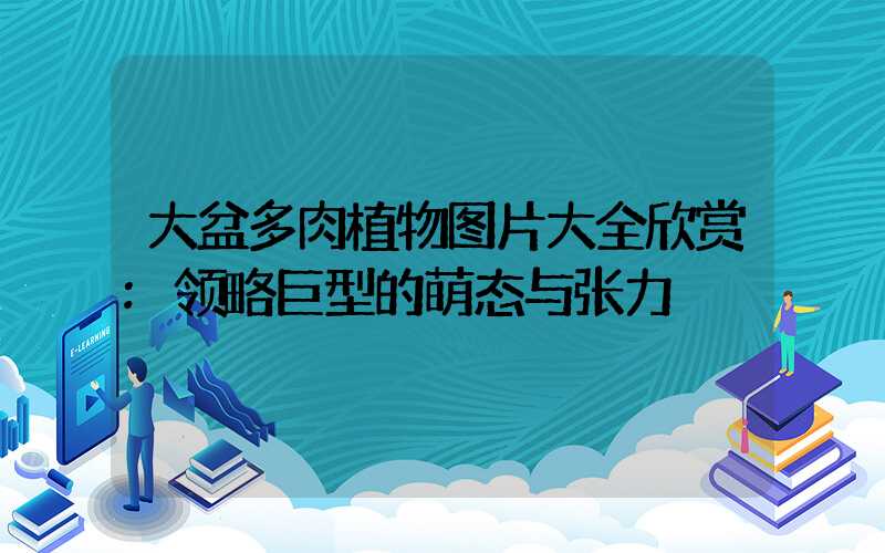 大盆多肉植物图片大全欣赏:领略巨型的萌态与张力