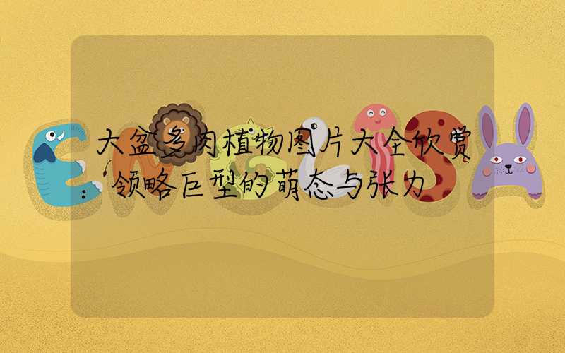 大盆多肉植物图片大全欣赏：领略巨型的萌态与张力