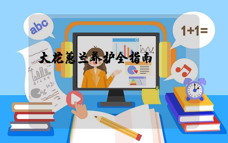 大花蕙兰养护全指南