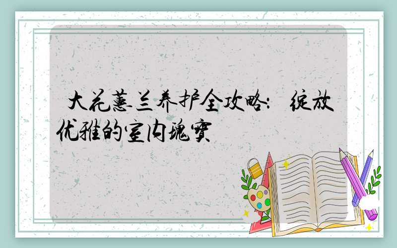 大花蕙兰养护全攻略：绽放优雅的室内瑰宝
