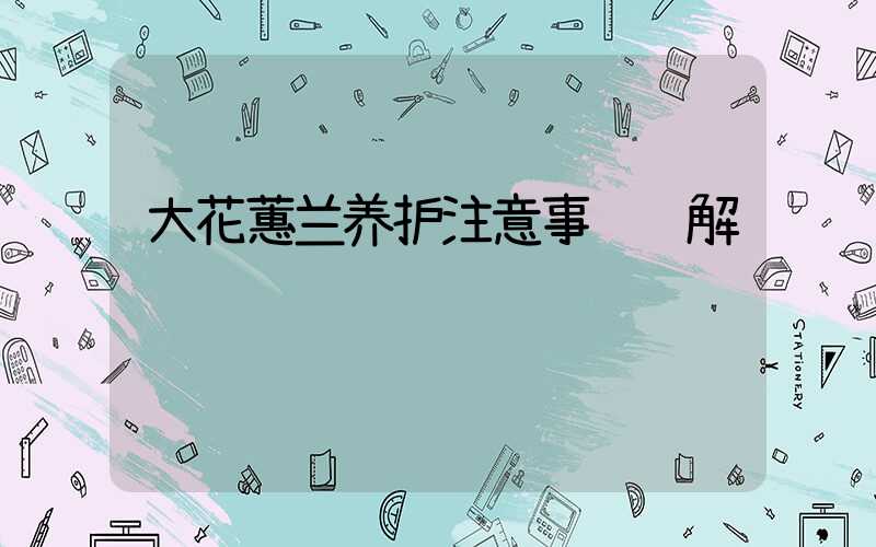 大花蕙兰养护注意事项详解