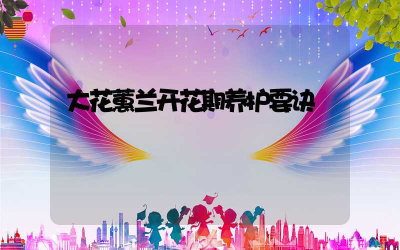 大花蕙兰开花期养护要诀